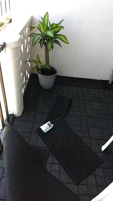 Pool Front & Across From Beach شاطئ ميرتل المظهر الخارجي الصورة